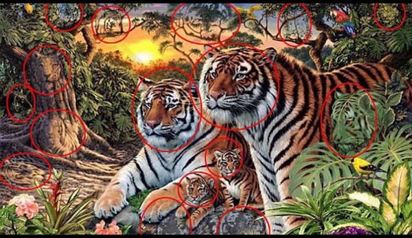 Tigres-solucion