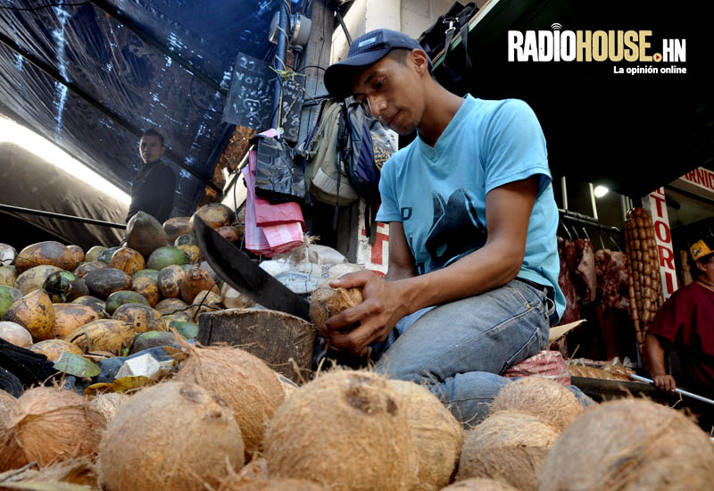 cocos radiohouse (13)