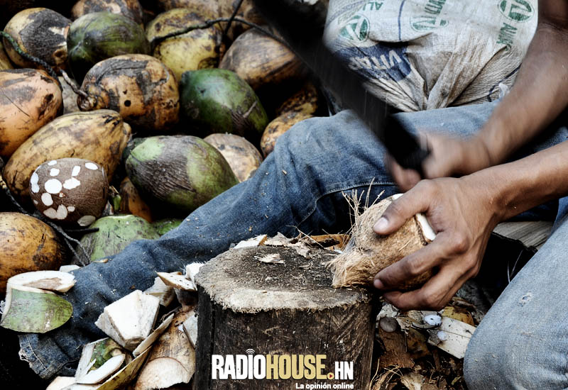 cocos radiohouse (14)