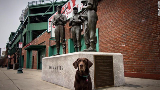 160713133115-bella-fenway-park-story-top