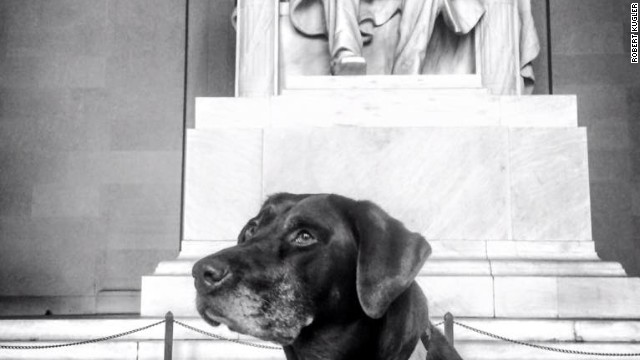 160713133331-bella-lincoln-memorial-story-top