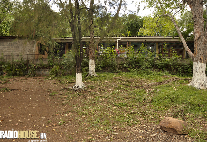 ESCUELA DE JAPOM_RADIOHOUSE (15)