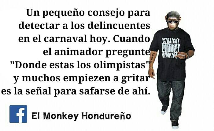 monkey 1