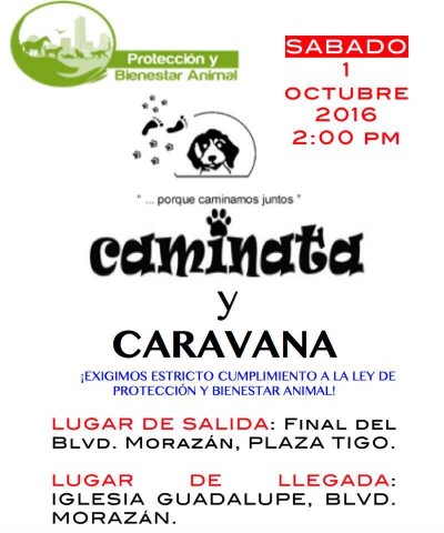 Marcha_animales_Radiohouse