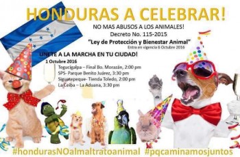 Marcha_animal_Radiohouse