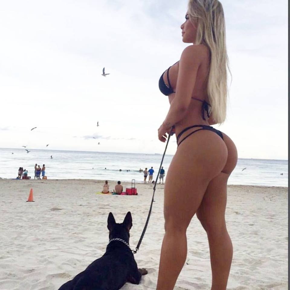 perros afortunados 24