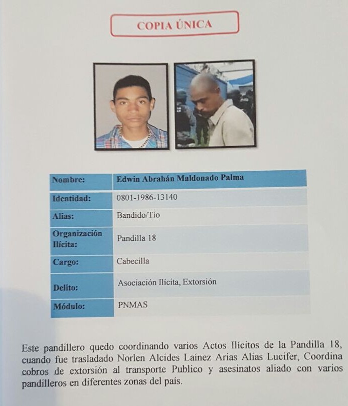 perfil2