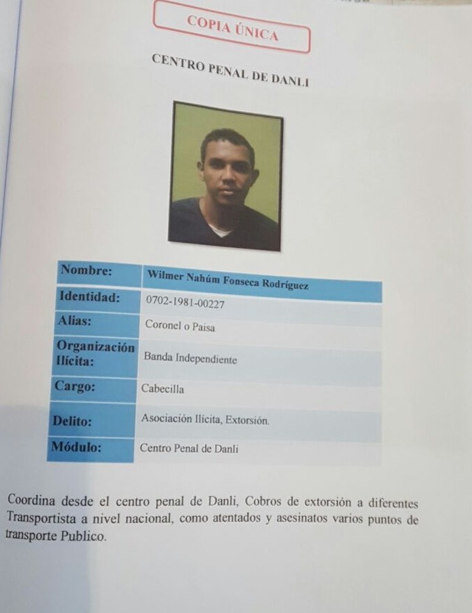 perfil4