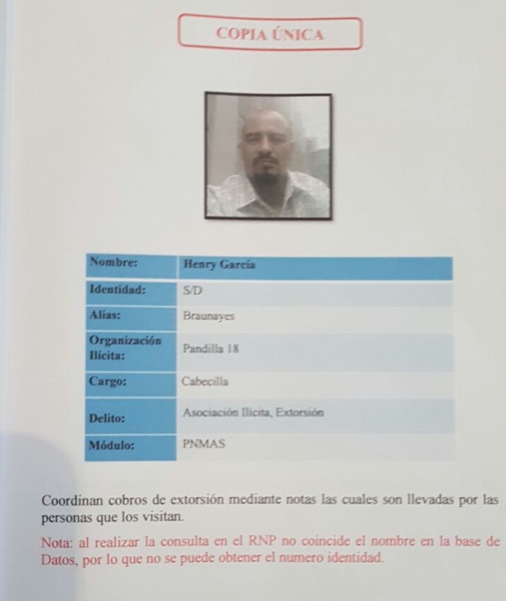 perfil6