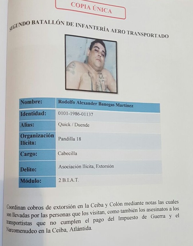 perfil9