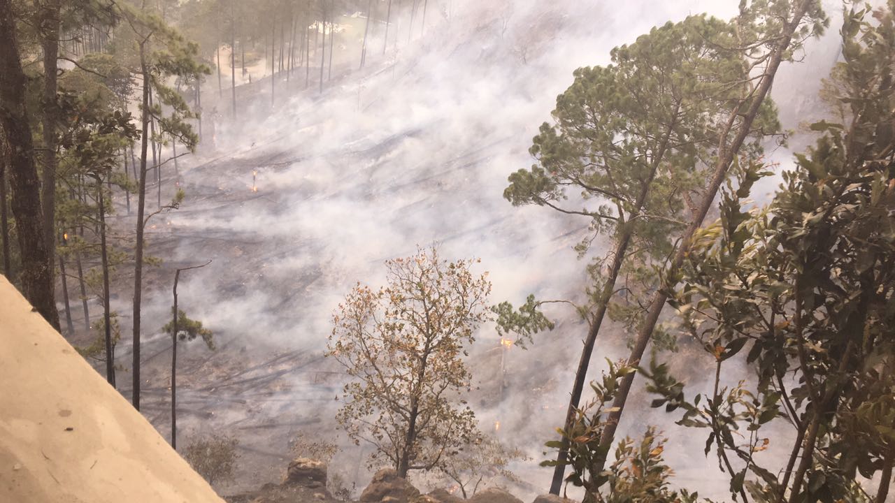 Incendio en tegucigalpa, picacho (4)