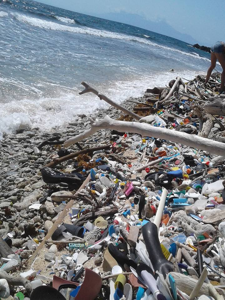 Utila Beach Clean (4)