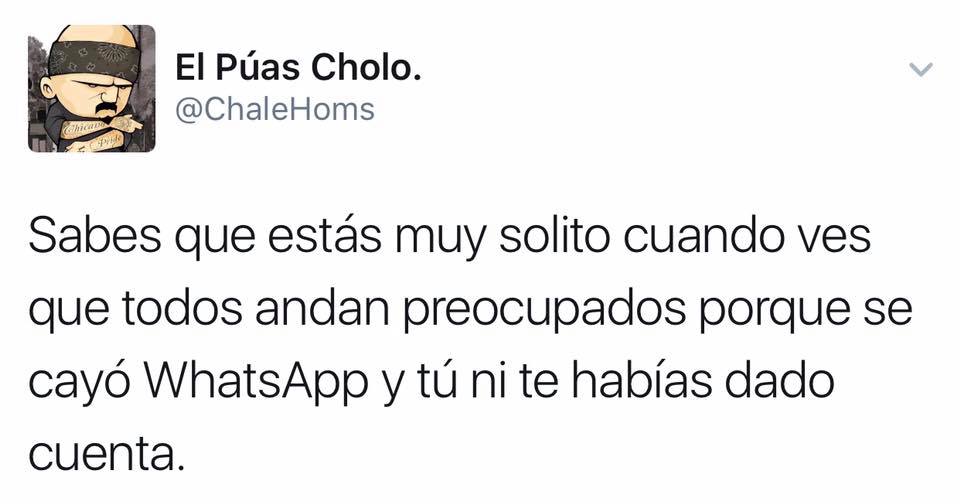 Caìda de Whatsapp (13)