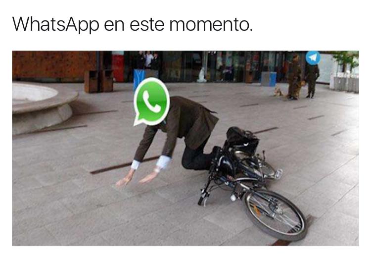 Caìda de Whatsapp (16)