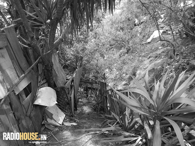 Doña_Tina_RadioHouse (2)