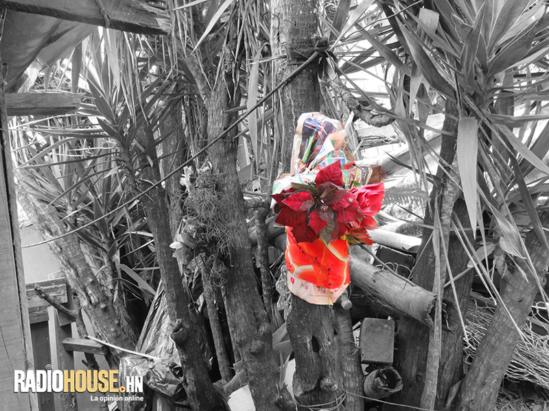 Doña_Tina_RadioHouse (5)