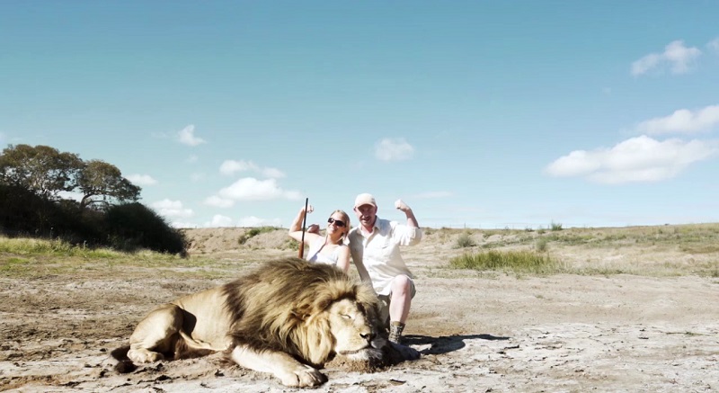 leones corre2