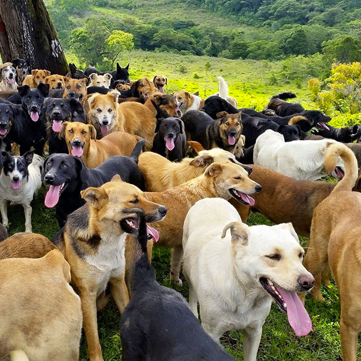 territorio-de-zaguates-costa-rica-3