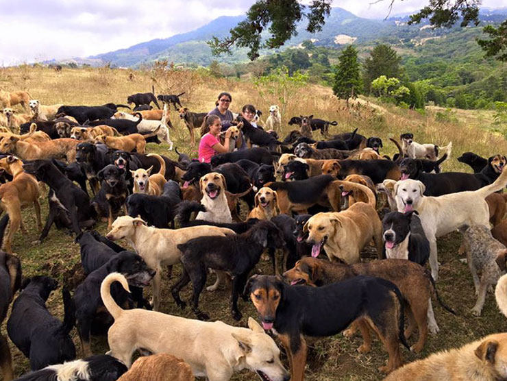 territorio-de-zaguates-costa-rica-5