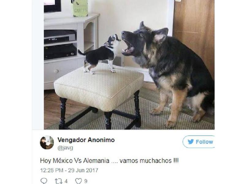 Memes de México_RadioHouse 8