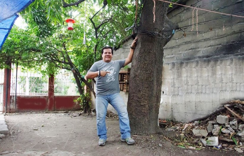 Palo de mangos_Rodolfo Sabillón 3