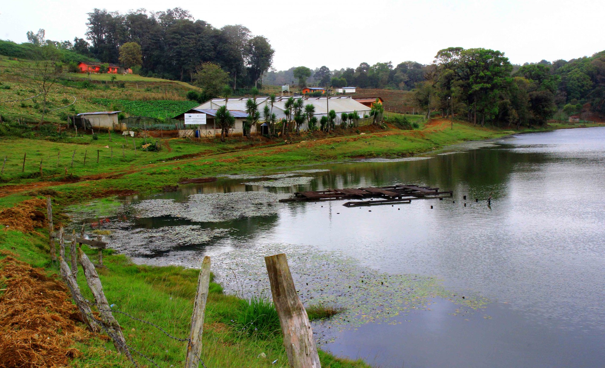 laguna