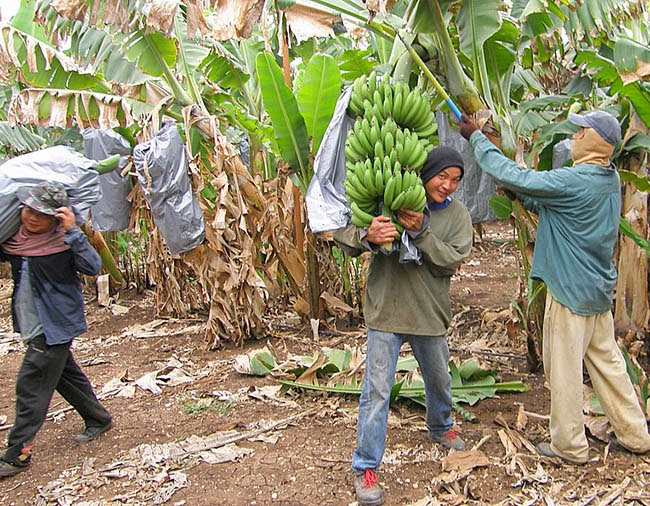 Foto: Honduras tierra libr