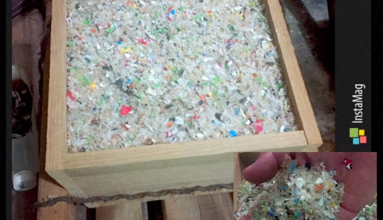 Utila_reciclado 2