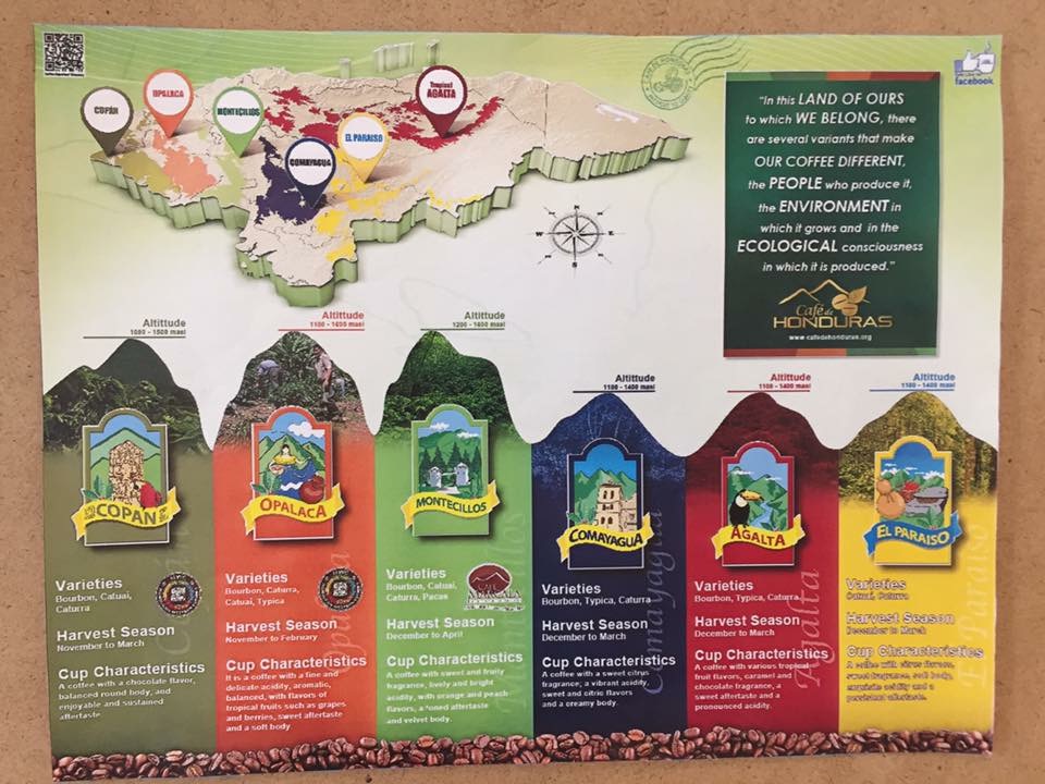 representacion grafica de las caracteristicas y regiones de la produccion de cafe