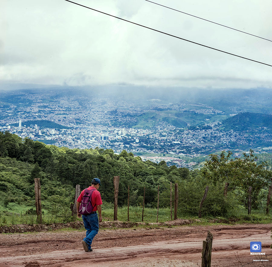 Caminante