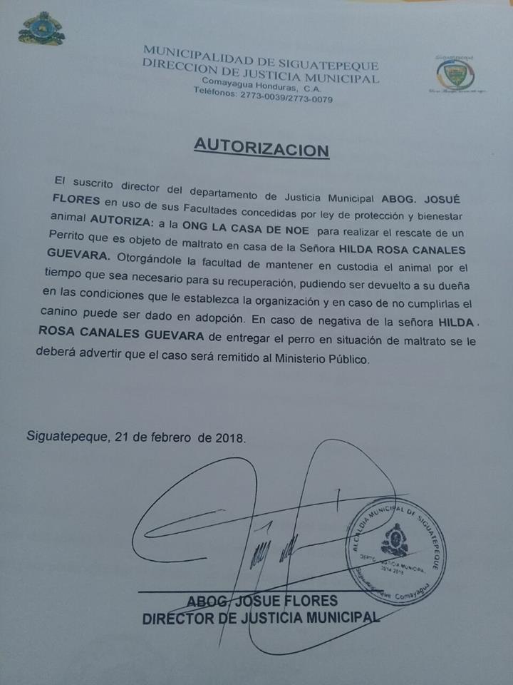 Rescate de perrito 5