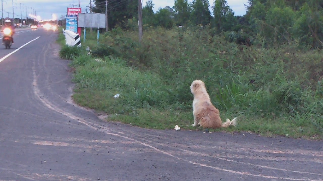 Portada Leo