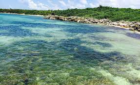 Isla Cisne