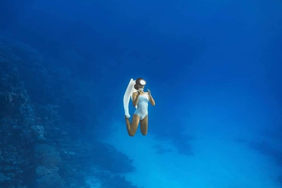 diving-egipto-honduras (1)